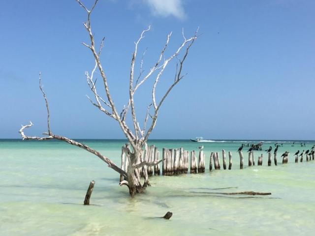 Casa Hridaya Hotel Boutique Holbox Eksteriør billede
