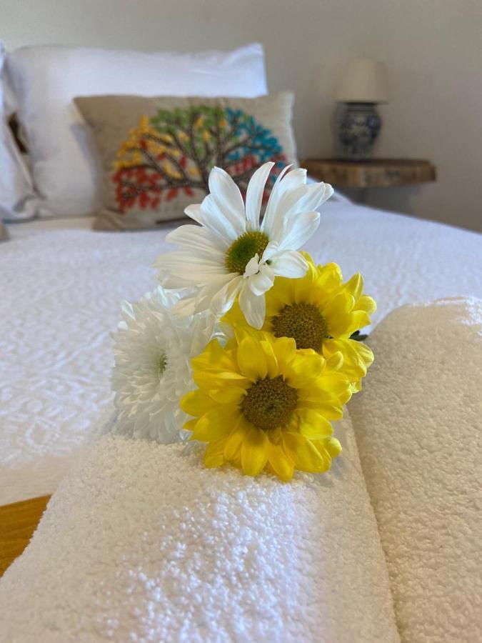 Casa Hridaya Hotel Boutique Holbox Eksteriør billede