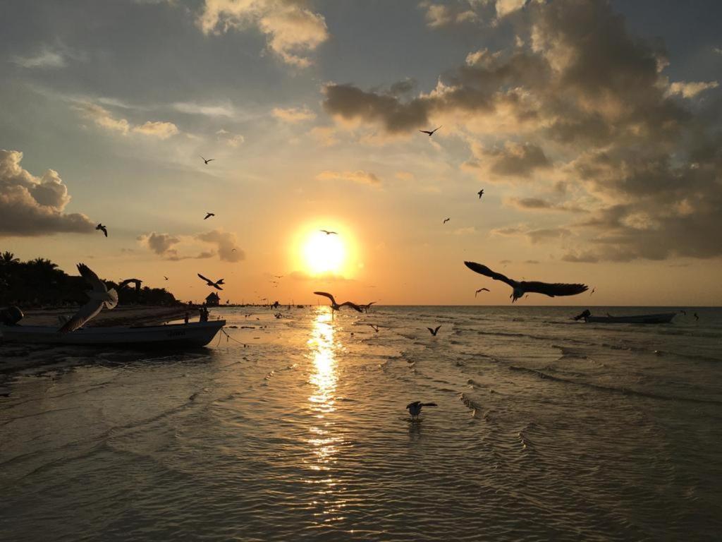 Casa Hridaya Hotel Boutique Holbox Eksteriør billede